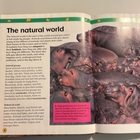 NOT ELIGIBLE FOR BUNDLE SALE  Animals and Nature:Two-Can First Encyclopedia - Picture 10 of 14